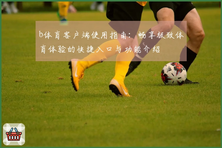 b体育客户端使用指南:畅享极致体育体验的快捷入口与功能介绍