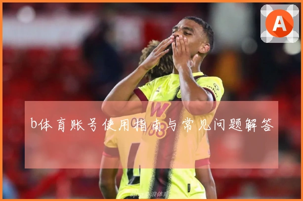 b体育账号使用指南与常见问题解答