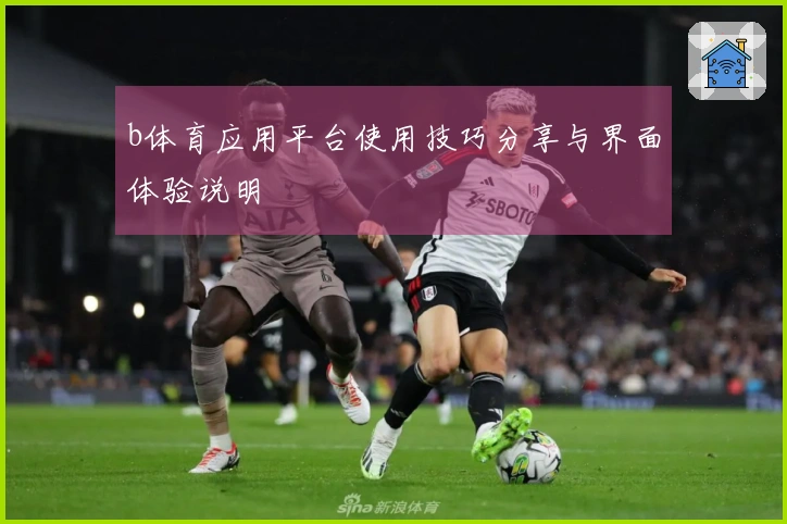 b体育应用平台使用技巧分享与界面体验说明