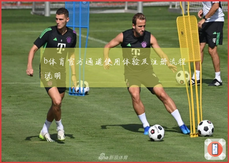 b体育官方通道使用体验及注册流程说明