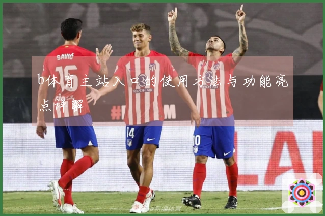 b体育主站入口的使用方法与功能亮点详解