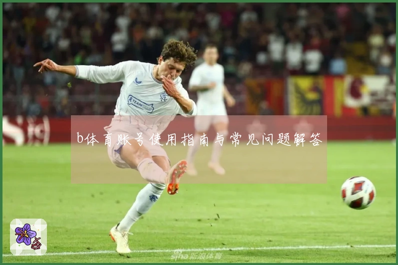 b体育账号使用指南与常见问题解答