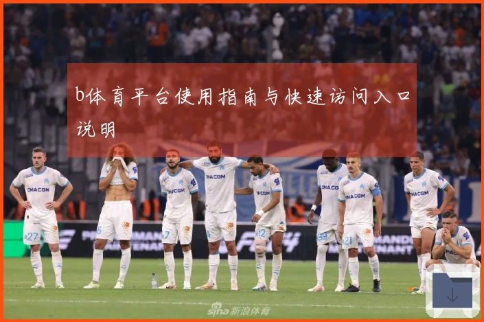 b体育平台使用指南与快速访问入口说明