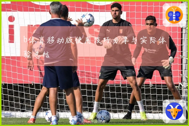 b体育移动版使用技巧分享与实际体验总结