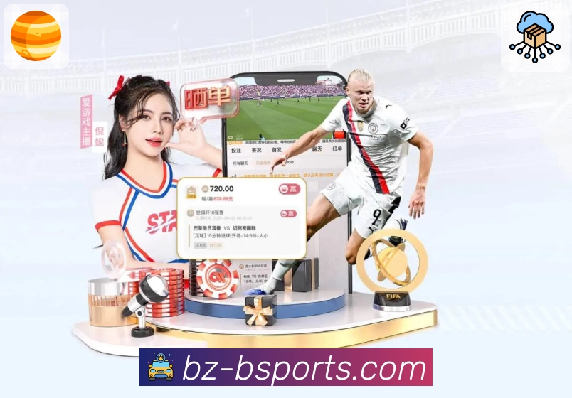 b体育平台展示图